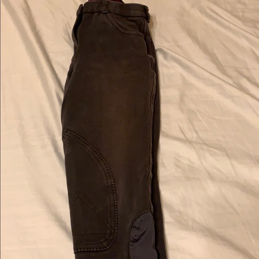 Riding pants